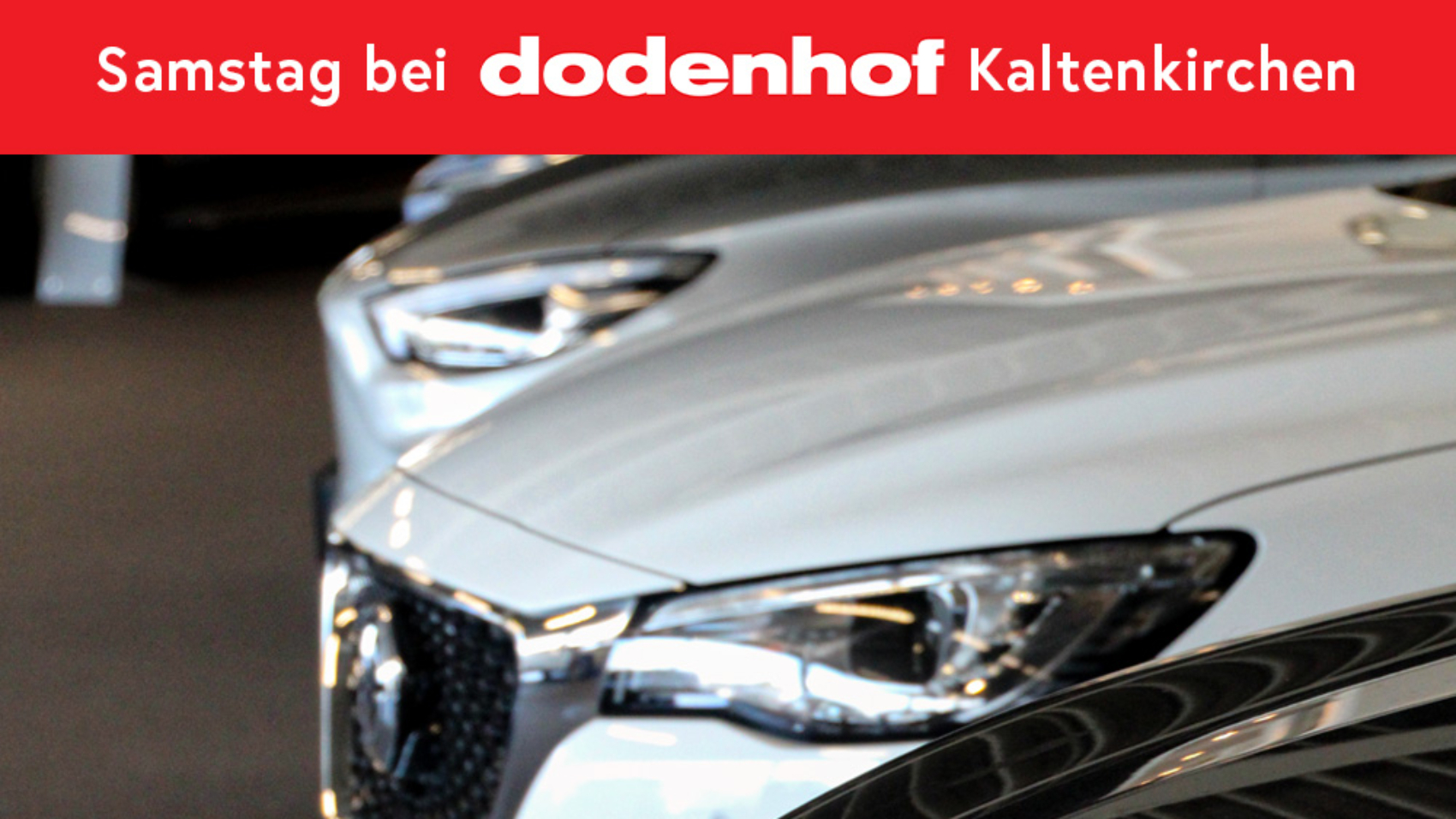 Co-Branding Dodenhof Webseite600-2